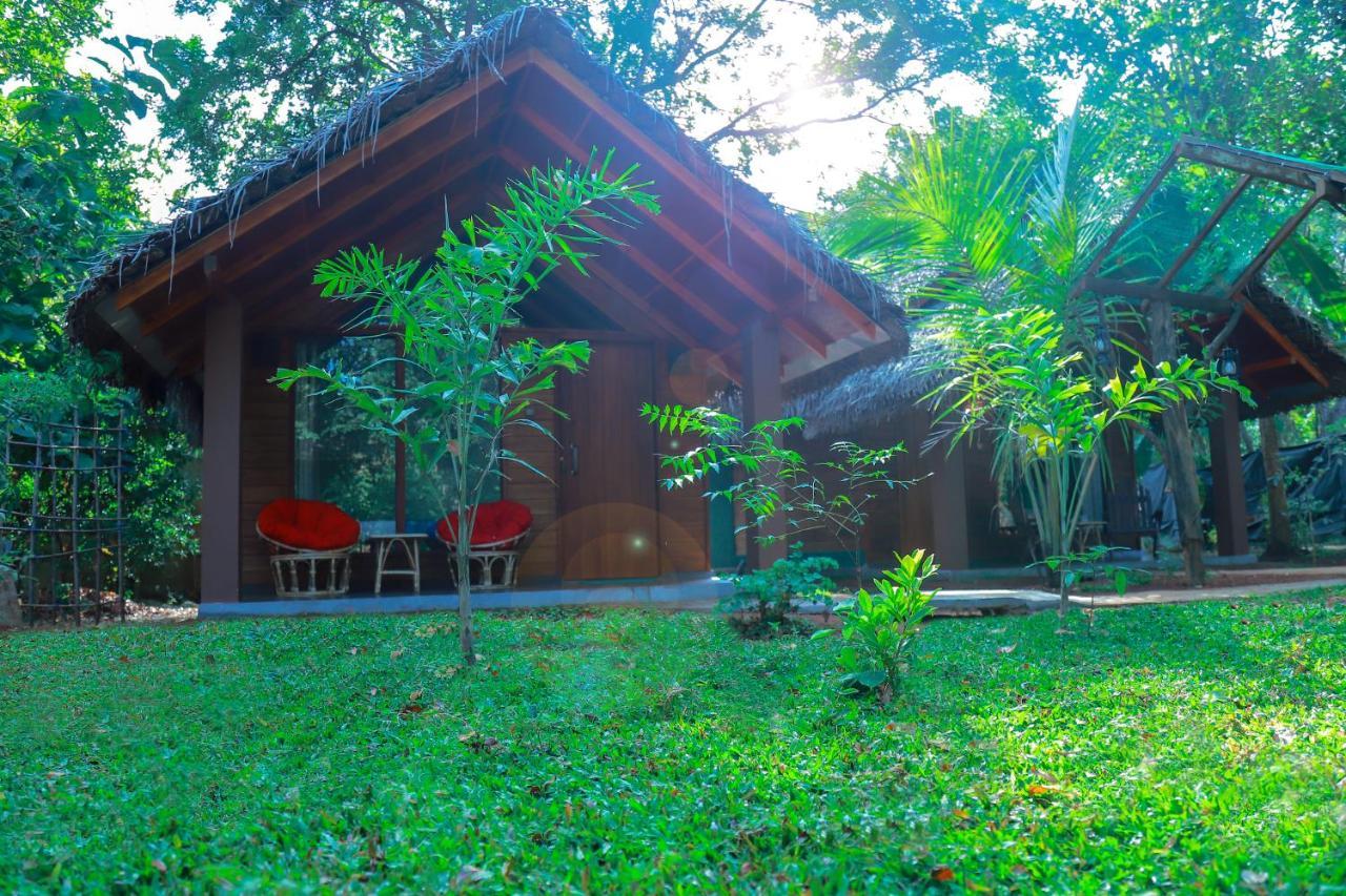 Palmyra Nature Resort Sigiriya Bagian luar foto